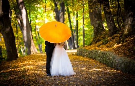 Yellow Umbrella - path, sunrays, trees, pair, forest