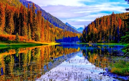 DUFFEY LAKE,CANADA - canada, lake, autumn, duffey