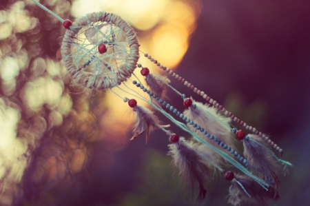 Dream Catcher - catchers, dreams, catcher, dream, dream catcher, dream catchers