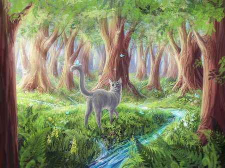 Nature - water, forest, trees, cat