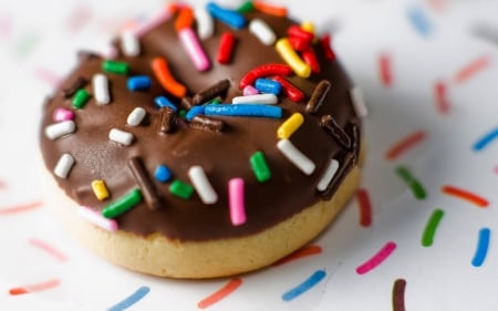 Chocolate Doughnut - photography, delicious, sweet, food, photo