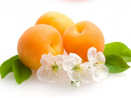 Apricots - apricot, blossom, food, fruit, photo, fruits