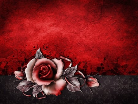 Red Rose - rose, red, red rose, red roses