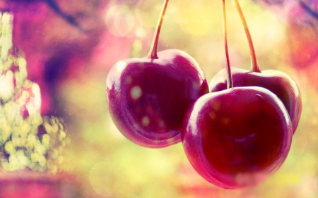 ~Cherry~ - delicious, red, cherry, food, fruit, photo, fruits, tree