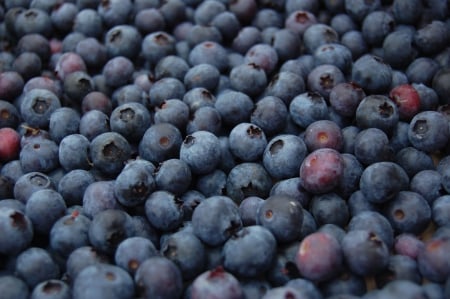 Blueberries - season, berry, blue, seasons, blueberry, blueberries, berries