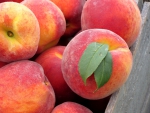 Peaches