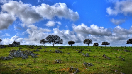 wonderful sky over rocky hill hdr - sky, hill, rocks, clouds, trees, hdr, grass