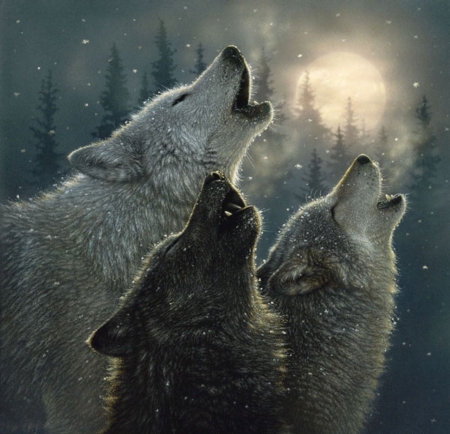 IN HARMONY - WOLVES, MOON, FOREST, SNOW, SONG, NIGHT, HARMONY