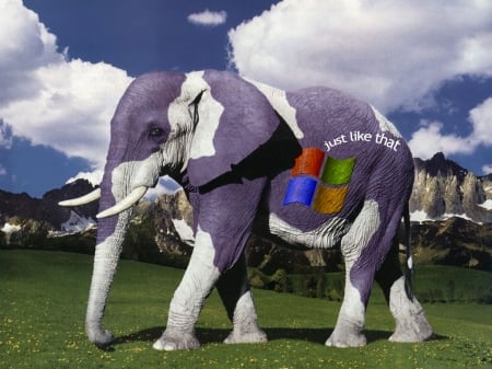 Windows Elephant - microsoft, animal, elephant, windows, windows elephant, technology, animals