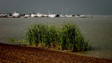 Just another rainy day... - ontario, lakes, canada, yachts, shore grass