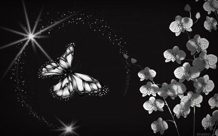 Black and White - butterfly, And, White, Black