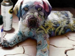 graffiti puppy