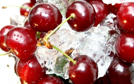 Cherry - cherries, water, cherry, berry, red cherries, red cherry, berries, ice, macro