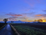 dark road at twilight