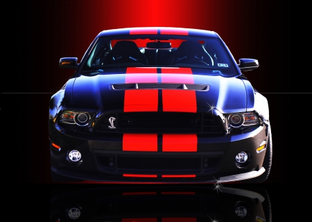 2013 FORD MUSTANG - MUSTANG, FORD, COBRA, BABY