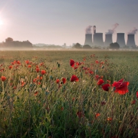 poppy fields near a power plant