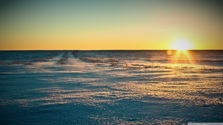 Endless winter field - horizon, wallpaper, winter, landscape, sun, hd, sky, light, sunlight, field, scene, sunset, nature, sunrise, snow