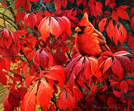 Red Bird and Red Leaves - cardinal, tree, artwork, nature, twigs