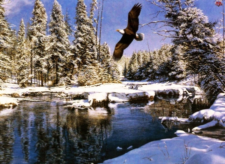 Flying Eagle - bald eagle, trees, snow, river, winter