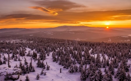 sunset over a vast forest in winter - winter, mountains, sunset, forest