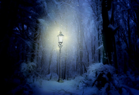 Winter secrets - blue, image, snow, expression, color, light, new, wallpaper