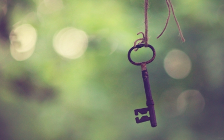 Key - key, bokeh, node, rope, focus, green, old, keys, old keys, old key