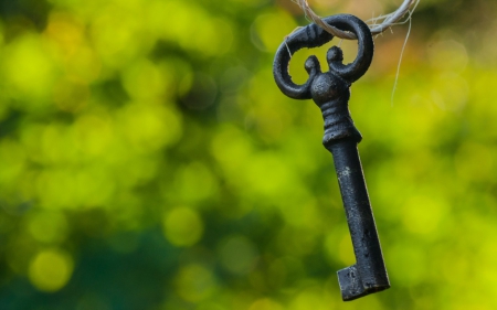 Key - key, bokeh, node, rope, focus, green, old, keys, old keys, old key