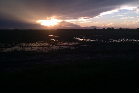 Texas Sunset - clouds, pretty, awsome, grass, reflection, sunray, sunset, field, sun, sky