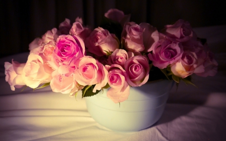 * Beautiful pink roses * - flower, roses, pink, flowers, nature