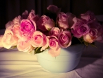 * Beautiful pink roses *