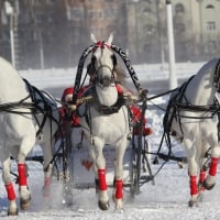 *** Winter Sleigh ***