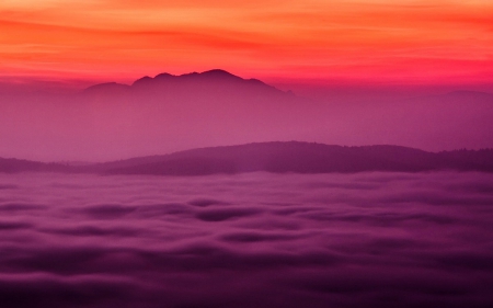 The Splendor of Nature - mountains, fog, nature, sunset