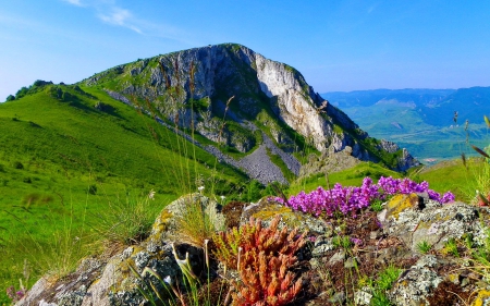 Mountainscape - slope, sky, landscape, mountain, hills, greenery, summer, peak, spring, rocks, mountainscape, beautiful, flowers, grass, lvoely, wildflowers