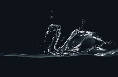 Swan - glass, swan, water, bird