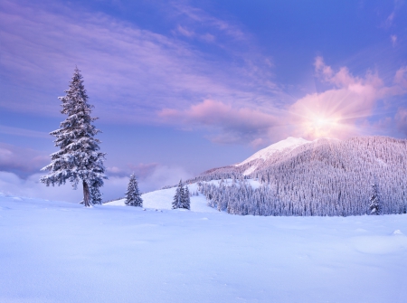 Winter - sky, trees, landscape, winter, mountains, nature, winter time, snow, clouds, splendor, winter splendor, snowy