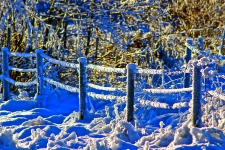 Winter - snowflakes, splendor, snow, photo, sky, sun, trees, winter, beautiful, photography, lovely, tree, wonderful, ice, nature, snowflake, cold