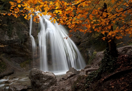 Waterfalls - nature, waterfalls, tree, autumn