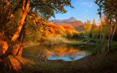 Day in a lake - nature, water, lake, tree