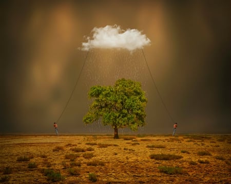 Strange clouds - clouds, landscape, strange, tree