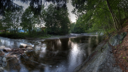 shaded forest stream - stream, shade, forest, rocks