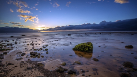 sea at low tide - clouds, tide, moss, shore, sea, sunrise, rocks