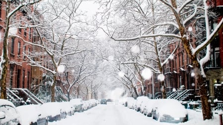 Snowfall - houses, street, trees, snow, cars