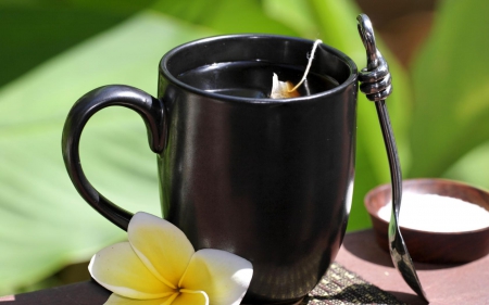 Tea - spoon, cups, tea, black, cup, black cup, flowers, sachet, flower, plumeria