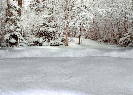 A-Winter-Scene - spitfire, ford, desota, chimo