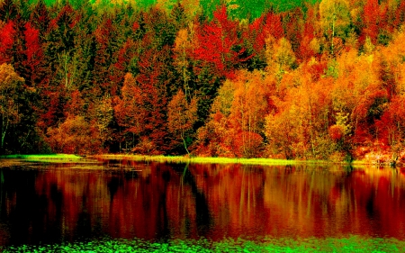 AUTUMN FOREST LAKE - lake, forest, nature, autumn