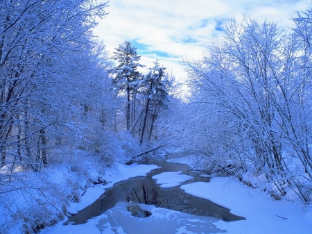 BEAUTIFUL BROOK IN WINTER - winter, gorgeous, scenry, beautiful