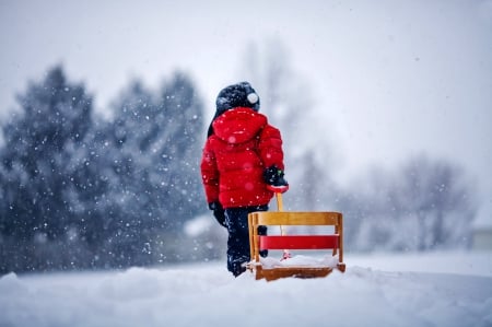 Precious Moments - snowfall, trees, winter, child, nature, winter time, snow, splendor, winter splendor, snowy