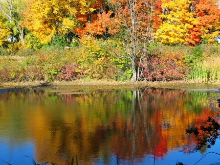 Duck pond in Wisconsin - happy hunting wisconsin duckhunters, i often wonder if god could of made fall last longer, reflection of fall colors, cemetery hidden by beautiful fall colors