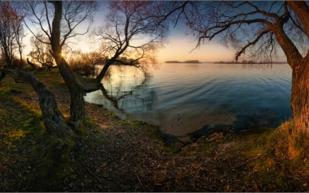 Calm day - cost, tree, nature, water