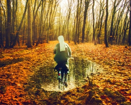 Autumn ride - nan, leaves, trees, nature, woman, autumn